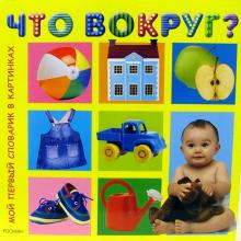 Что вокруг? обложка книги Что вокруг? обложка книги