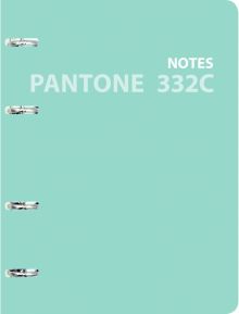 Тетрадь на кольцах (120 листов, А5, клетка), Pantone line 5 (ПБЛ1205007)