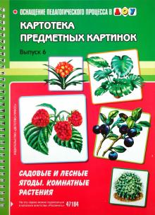 Нищева, Нищев - Картотека предметных картинок. Выпуск №6. Садовые и лесные ягоды. Комнатные растения обложка книги Нищева, Нищев - Картотека предметных картинок. Выпуск №6. Садовые и лесные ягоды. Комнатные растения обложка книги