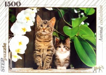 Step Puzzle-1500 "Котята и орхидея" (83040) Step Puzzle-1500 "Котята и орхидея" (83040)