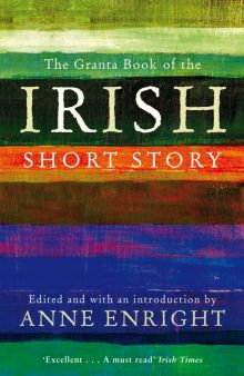 Фото Toibin, Дойл, Keegan: The Granta Book Of The Irish Short Story ISBN: 9781847082558 