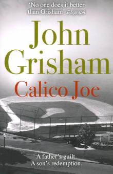 John Grisham - Calico Joe обложка книги John Grisham - Calico Joe обложка книги