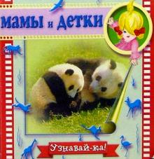Мамы и детки обложка книги Мамы и детки обложка книги