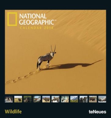 Календарь на 2014 год "National Geographic. Живая природа" (7-6689) Календарь на 2014 год "National Geographic. Живая природа" (7-6689)