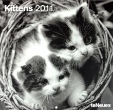 Календарь 2011 "Котята" (4354-3) Календарь 2011 "Котята" (4354-3)