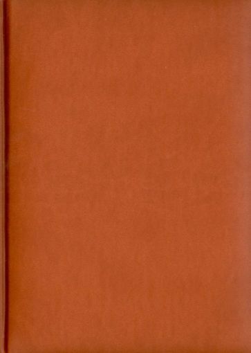 Ежедневник датированный "Туксон". 2014 год. Кирпичный (72325931) Ежедневник датированный "Туксон". 2014 год. Кирпичный (72325931)