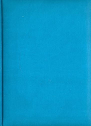 Ежедневник-2012, голубой (72325930) Ежедневник-2012, голубой (72325930)