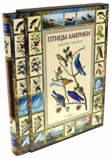 Джеймс Одюбон - Птицы Америки (в футляре) обложка книги Джеймс Одюбон - Птицы Америки (в футляре) обложка книги