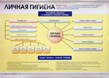 Лачук, Миронов - Инфекционные заболевания. Личная гигиена. Плакат (30361) обложка книги Лачук, Миронов - Инфекционные заболевания. Личная гигиена. Плакат (30361) обложка книги