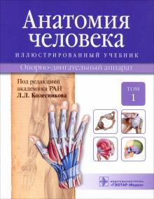 Колесников, Ничипорук, Шилкин, Чукбар, Цыбулькин, Гайворонский, Филимонов - Анатомия человека. Иллюстрированный учебник. В 3-х томах. Том 1. Опорно-двигательный аппарат обложка книги Колесников, Ничипорук, Шилкин, Чукбар, Цыбулькин, Гайворонский, Филимонов - Анатомия человека. Иллюстрированный учебник. В 3-х томах. Том 1. Опорно-двигательный аппарат обложка книги