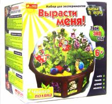 Чайная поляна (15114006Р) Чайная поляна (15114006Р)