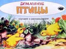 Изучаем и раскрашиваем. Домашние птицы