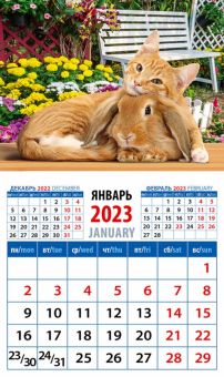 2023 Календарь Год кота и кролика. Настоящие друзья