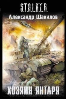 Александр Шакилов - Хозяин Янтаря обложка книги Александр Шакилов - Хозяин Янтаря обложка книги