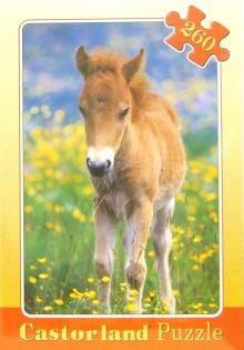 Puzzle-260.В-26494.Жеребенок Puzzle-260.В-26494.Жеребенок