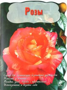 Розы