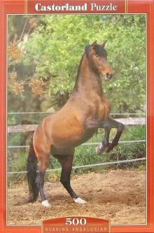 Puzzle-500.В-50857.Конь Puzzle-500.В-50857.Конь