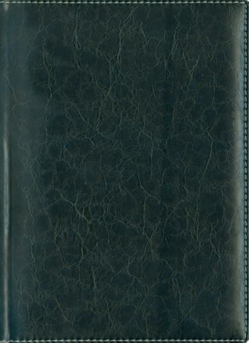 Ежедневник "Темно-синий" (ЕКГ1151523) Ежедневник "Темно-синий" (ЕКГ1151523)
