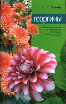 Георгины