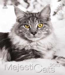 Календарь 2013: Majestic Cats/Кошки Календарь 2013: Majestic Cats/Кошки