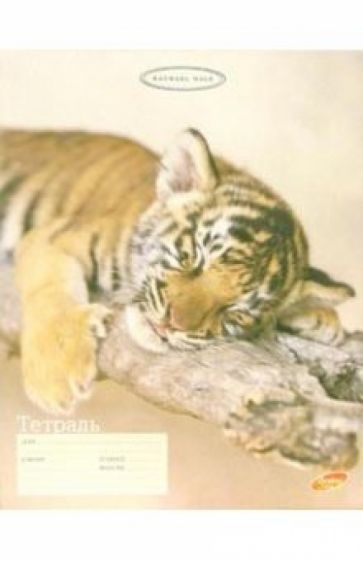 Тетрадь 12 листов, клетка 2828/4 (дикие кошки) Тетрадь 12 листов, клетка 2828/4 (дикие кошки)