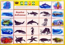 Лото: Морские животные (350х500) Лото: Морские животные (350х500)
