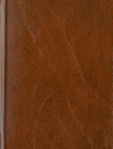 Ежедневник "Коричневый" (ЕБ1161921) Ежедневник "Коричневый" (ЕБ1161921)