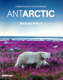 Poliza, Gruenberger - Antarctic обложка книги Poliza, Gruenberger - Antarctic обложка книги