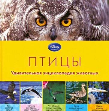 Птицы. Удивительная энциклопедия животных обложка книги Птицы. Удивительная энциклопедия животных обложка книги