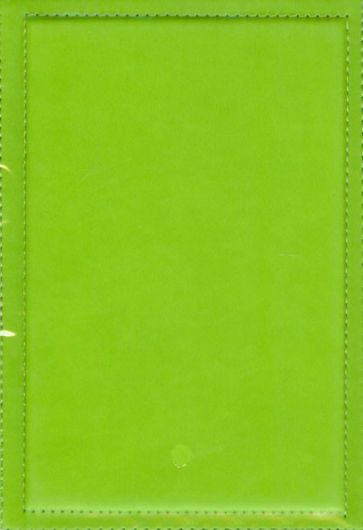 Ежедневник недатированный "Proff.Absolute", А5, салатовый (PF-5N131203-13) Ежедневник недатированный "Proff.Absolute", А5, салатовый (PF-5N131203-13)