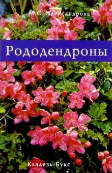 Майя Александрова - Рододендроны обложка книги Майя Александрова - Рододендроны обложка книги