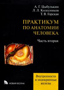 Цыбулькин, Горская, Колесников - Практикум по анатомии человека. В 4-х частях. Часть 2. Внутренности и эндокринные железы обложка книги Цыбулькин, Горская, Колесников - Практикум по анатомии человека. В 4-х частях. Часть 2. Внутренности и эндокринные железы обложка книги