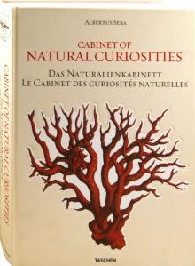 Musch, Rust, Willmann - Cabinet of Natural Curiosities обложка книги Musch, Rust, Willmann - Cabinet of Natural Curiosities обложка книги