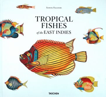 Samuel Fallours - Tropical Fishes of the East Indies обложка книги Samuel Fallours - Tropical Fishes of the East Indies обложка книги