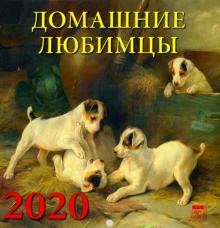 Календарь 2020 "Домашние любимцы" (30012)