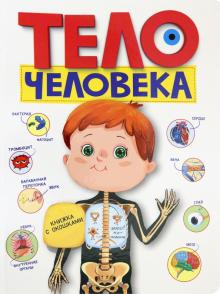 Тело человека