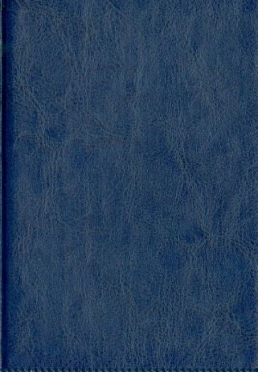 Ежедневник датированный "Небраска". 2014 год. Ярко-синий (791106248) Ежедневник датированный "Небраска". 2014 год. Ярко-синий (791106248)