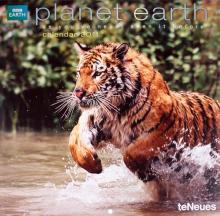 Календарь 2011 "BBC Планета земля" (4211-9) Календарь 2011 "BBC Планета земля" (4211-9)