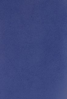 Тетрадь для конспектов Синий, А4, 96 листов, клетка