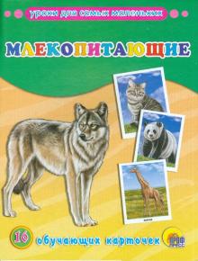 Обучающие карточки "Млекопитающие" (16 карточек)