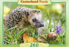 Puzzle-260 "Ежик" (B-26777) Puzzle-260 "Ежик" (B-26777)