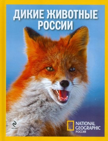 Дикие животные России обложка книги Дикие животные России обложка книги