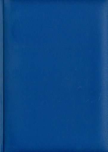 Ежедневник-2011 (72304557) (синий) Ежедневник-2011 (72304557) (синий)
