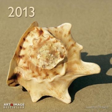 Календарь 2013 "Пляжные сокровища" (75947) Календарь 2013 "Пляжные сокровища" (75947)