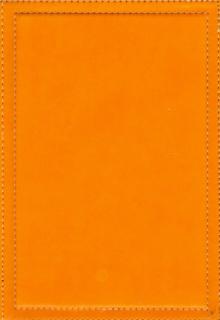 Ежедневник недатированный "Proff.Absolute", А5, оранжевый (PF-5N131203-07) Ежедневник недатированный "Proff.Absolute", А5, оранжевый (PF-5N131203-07)