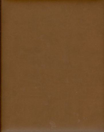 Еженедельник "Туксон". 2014 год. Коричневый (72625463) Еженедельник "Туксон". 2014 год. Коричневый (72625463)