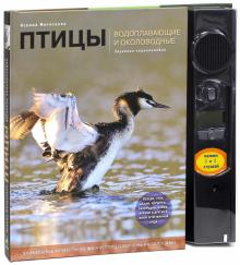 Ксения Митителло - Птицы. Водоплавающие и околоводные. Звуковая энциклопедия (поганка) обложка книги Ксения Митителло - Птицы. Водоплавающие и околоводные. Звуковая энциклопедия (поганка) обложка книги