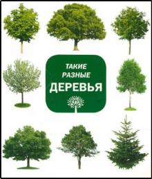 Aurelio Alfonso - Такие разные деревья обложка книги Aurelio Alfonso - Такие разные деревья обложка книги