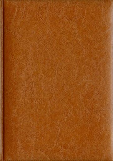 Ежедневник датированный "Небраска". 2014 год. Рыжий (723106255) Ежедневник датированный "Небраска". 2014 год. Рыжий (723106255)