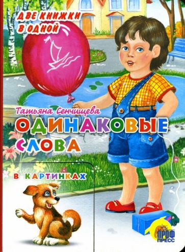 Татьяна Сенчищева - Одинаковые слова обложка книги Татьяна Сенчищева - Одинаковые слова обложка книги